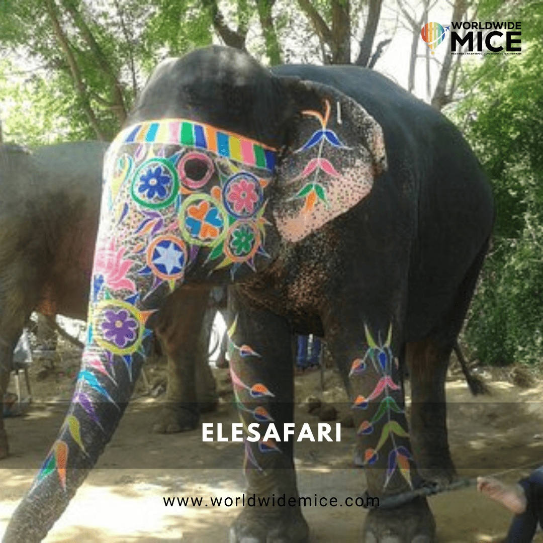 EleSafari